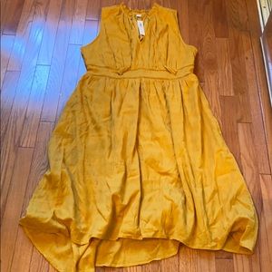 Women’s sleeveless dress